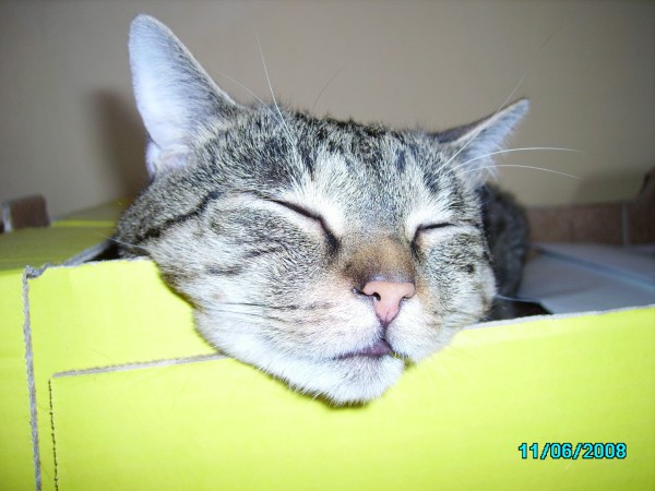 IMGP0168.JPG