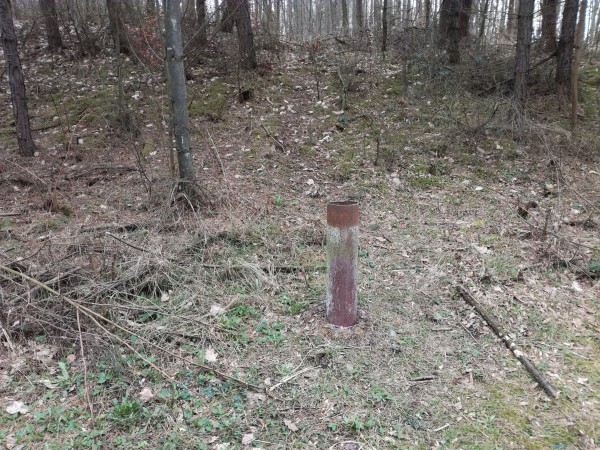 IMG_20170321_105137.jpg (7.21 MiB) Zobrazeno 1237 x IMG_20170321_105137.jpg