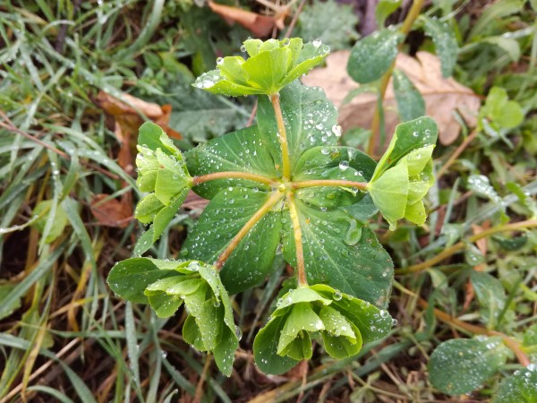 IMG_20171123_131603.jpg (4.36 MiB) Zobrazeno 631 x IMG_20171123_131603.jpg