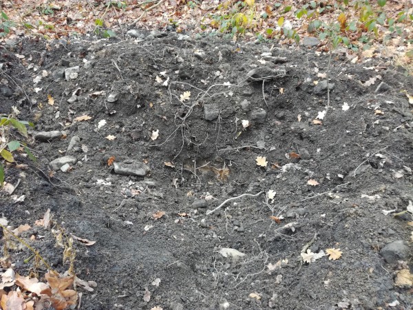 IMG_20171127_125218.jpg (6.99 MiB) Zobrazeno 2282 x IMG_20171127_125218.jpg