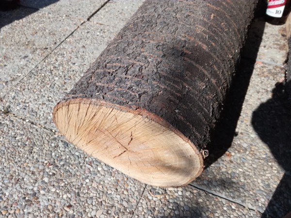 IMG_20180727_095324.jpg (4.75 MiB) Zobrazeno 1520 x IMG_20180727_095324.jpg