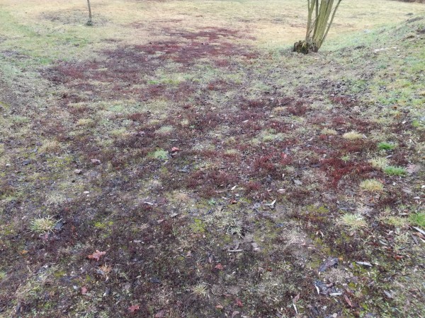 IMG_20161225_142348.jpg (7.14 MiB) Zobrazeno 1591 x IMG_20161225_142348.jpg