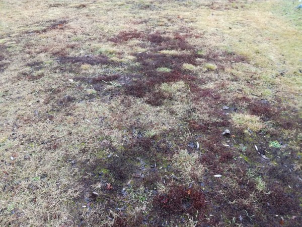 IMG_20161225_142400.jpg (6.22 MiB) Zobrazeno 1591 x IMG_20161225_142400.jpg