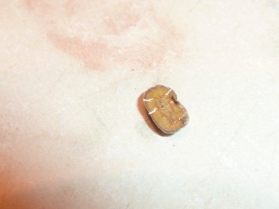 P1090521.JPG (1.84 MiB) Zobrazeno 748 x P1090521.JPG